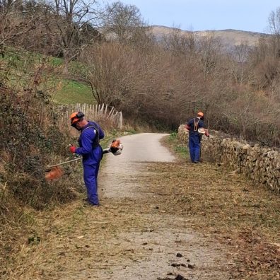 Limpieza pistas forestales