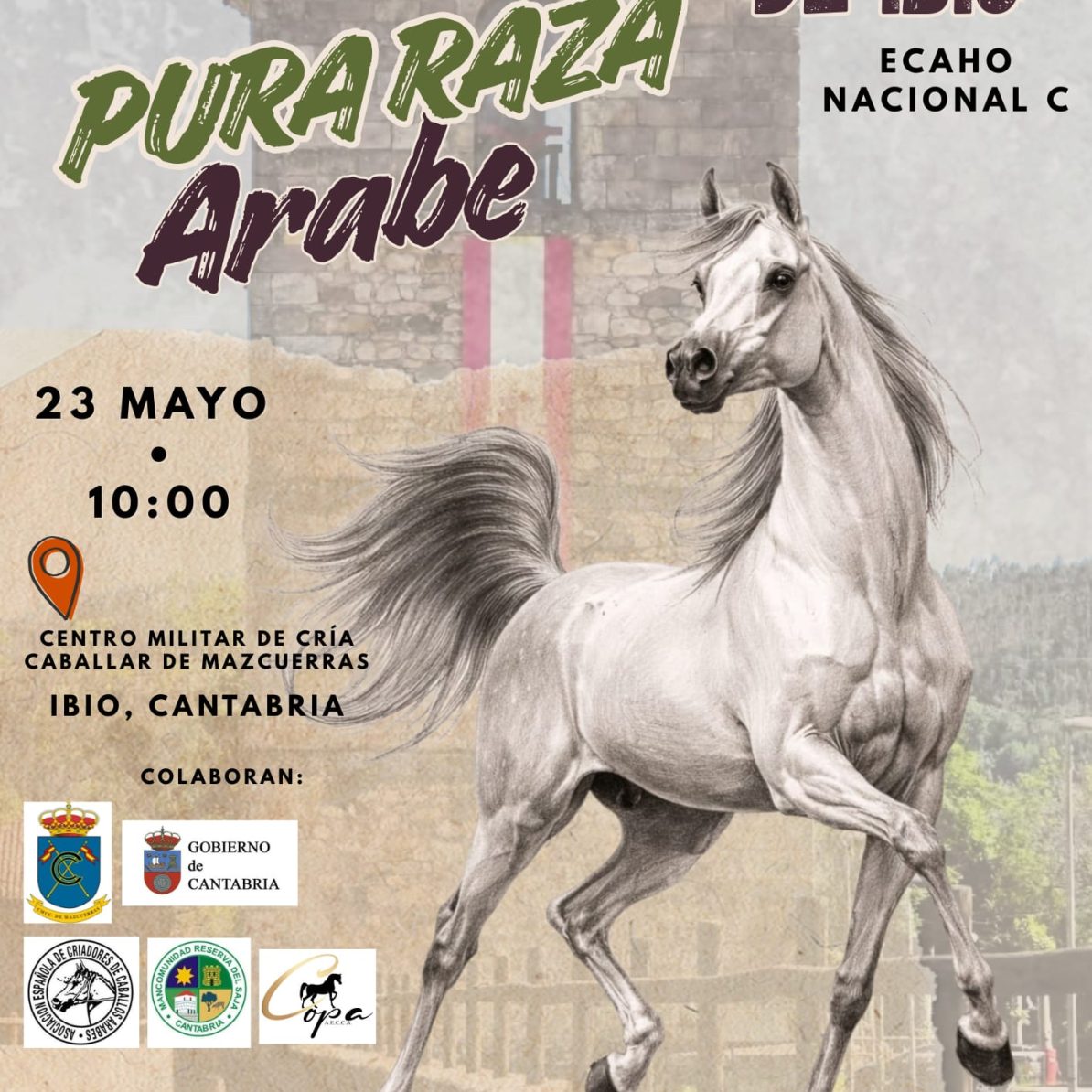 II Concurso Morfológico de Ibio